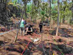 Dosen SITH ITB dan Unpad Kembangkan Agroforestri Jagung Hibrida di Gunung Geulis Sumedang