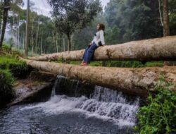 Mau Mencoba Mandi di Hulu Sungai Citarum yang Dinginnya Sampai ke Tulang? Yuk Cek Alamatnya