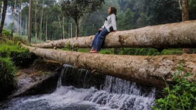 Mau Mencoba Mandi di Hulu Sungai Citarum yang Dinginnya Sampai ke Tulang? Yuk Cek Alamatnya