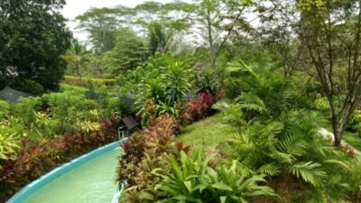 Jungle Water World Samarinda: Petualangan Seru di Hutan Tropis Kalimantan Timur