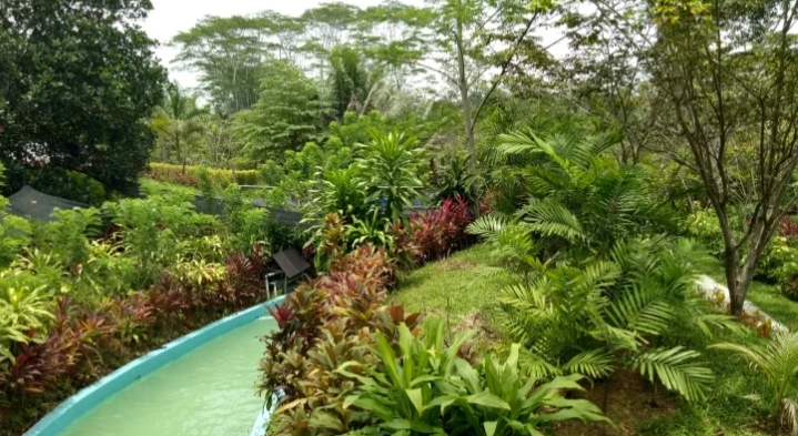 Jungle Water World/(Borneo)