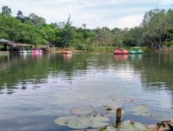 Kebun Raya Unmul di Samarinda, Kalimantan Timur: Pesona Wisata di Tengah Hutan Pendidikan