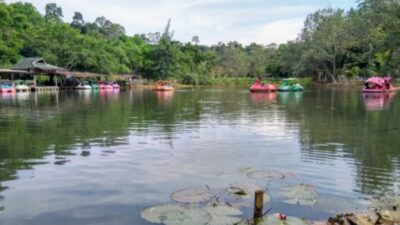 Kebun Raya Unmul/(Borneo)