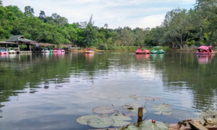 Kebun Raya Unmul/(Borneo)