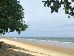 Pantai Banua Patra: Menikmati Pesona Alam dan Kuliner Laut di Balikpapan