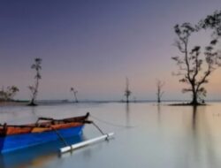 Pantai Serumpun: Menyelami Keindahan Tersembunyi di Balikpapan, Kalimantan Timur