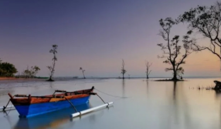 Pantai Serumpun/(Borneo)