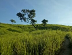 Bukit Alpha: Menikmati Keindahan Destinasi Populer di Balikpapan, Kalimantan Timur