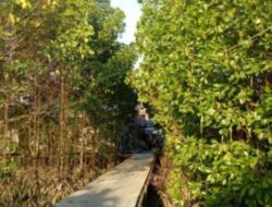 Hutan Wanawisata di Balikpapan, Kalimantan Timur: Menikmati Keanekaragaman Alam dan Pendidikan Lingkungan