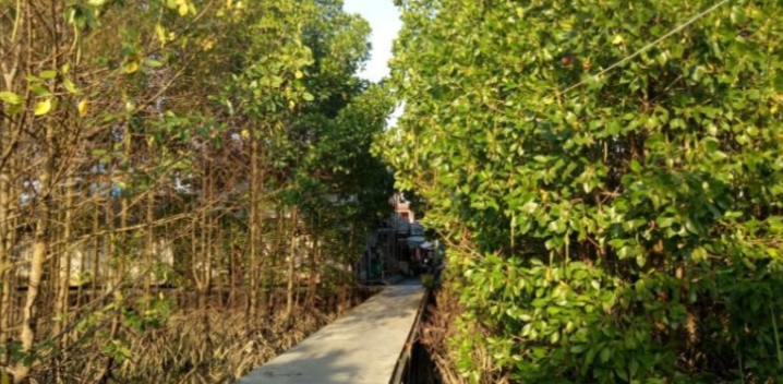 Hutan Wanawisata/(Borneo)