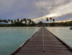 Pulau Maratua: Pesona Alam Menakjubkan di Kalimantan Timur