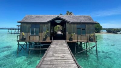 Pulau Nabucco/(Borneo)