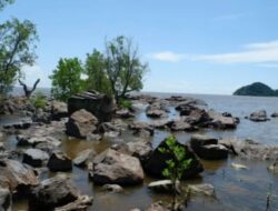 Pantai Tanjung Kemuning: Pesona Alam dan Destinasi Wisata Memikat Fotografer di Kalimantan Barat