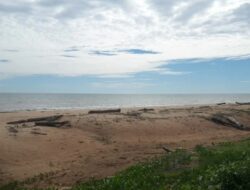 Pantai Selimpai, Bagian dari Taman Wisata Alam Tanjung Belimbing, Kalimantan Barat