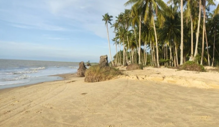 Pantai Dungun Laut/(Celebesborneo)