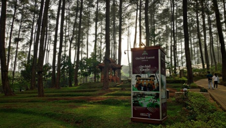 Orchid Forest/(NativeIndonesia)