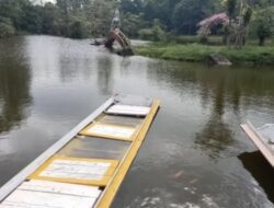 Bukit Bougenville Singkawang: Keindahan Alam Dekat Kota yang Memikat