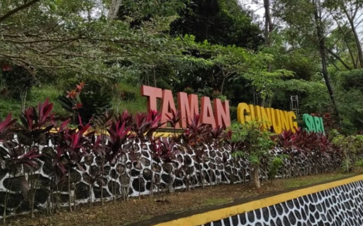 Taman Gunung Sari/(celebesborneo)