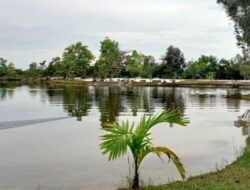Keajaiban Danau Alam Salju di Kotawaringin Timur, Kalimantan Tengah