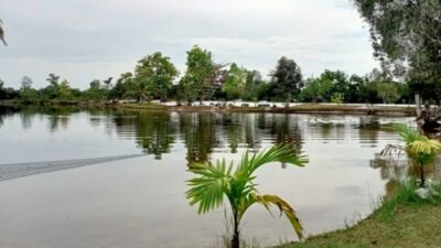 Keajaiban Danau Alam Salju di Kotawaringin Timur, Kalimantan Tengah