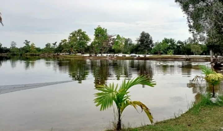 Danau Alam Salju/(celebesborneo)