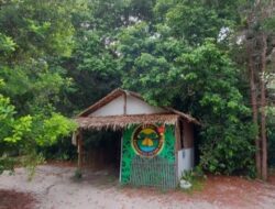 Eduwisata Kalimantan Hutan Itah: Petualangan dan Kegembiraan di Tengah Kehijauan Palangkaraya