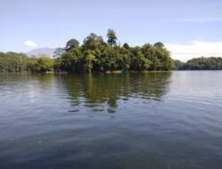 Situ Gede Tasikmalaya: Keindahan Wisata Keluarga di Pelukan Alam Jawa Barat