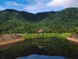 Taman Nasional Gunung Palung, Pontianak, Kalimantan Barat: Surga untuk Pecinta Alam