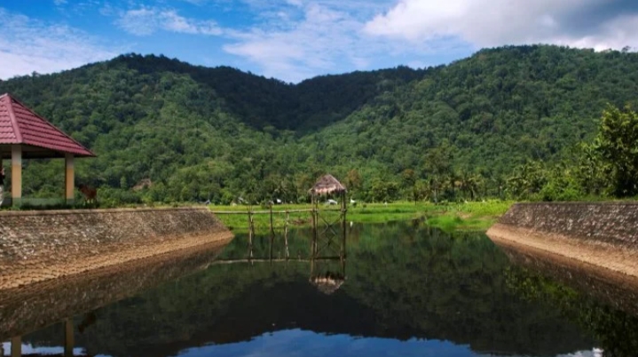 Taman Nasional Gunung Palung/(celebesborneo)