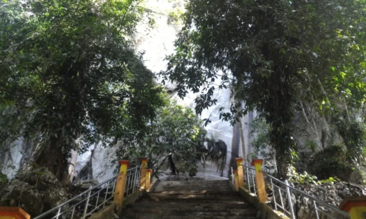Gunung Putih/(celebesborneo)