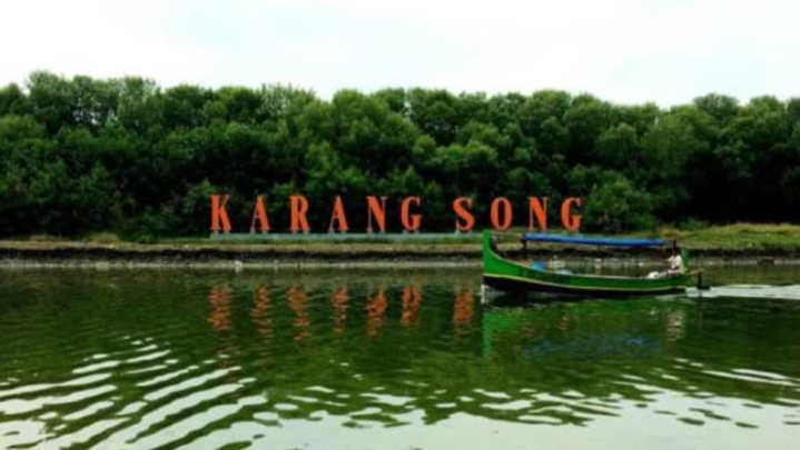 Hutan Mangrove Karangsong
