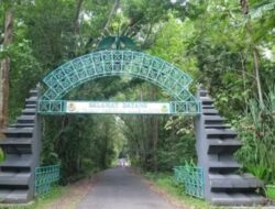 Taman Nasional Alas Purwo: Memikatnya Keindahan Alam dan Misteri di Banyuwangi