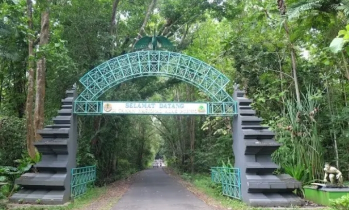 Taman Nasional Alas Purwo/(Liburco)