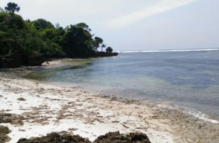 Pantai Plengkung Banyuwangi