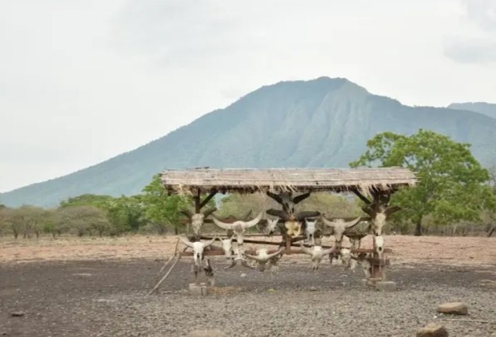 Taman Nasional Baluran