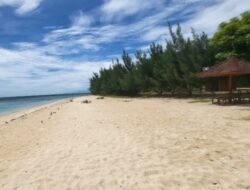 Pantai Rajegwesi di Banyuwangi, Jawa Timur: Keindahan Alam yang Tak Tertandingi