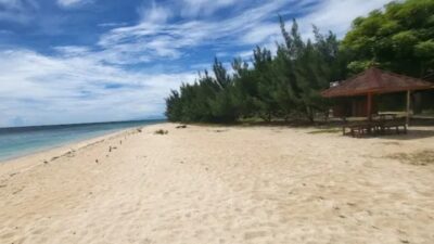 Pantai Rajegwesi di Banyuwangi, Jawa Timur: Keindahan Alam yang Tak Tertandingi