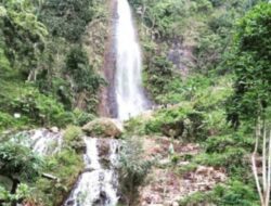 Menjelajah Keindahan Alam: Curug Pletuk di Banjarnegara, Jawa Tengah