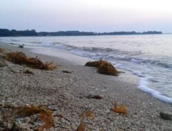 Pantai Teluk Awur Jepara, Destinasi Wisata Pantai Gratis yang Memikat