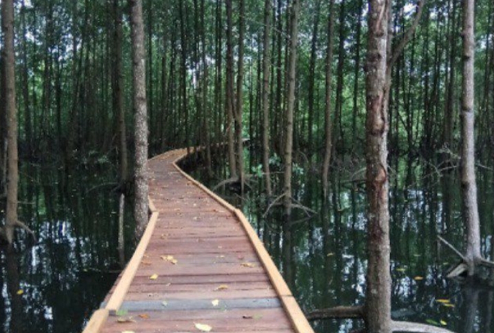 Taman Nasional Kutai