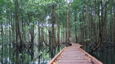 Bontang Mangrove Park