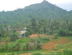 Bukit Biru di Bontang, Kalimantan Timur: Destinasi Impian Bagi Penggemar Fotografi
