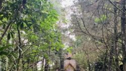 Museum Ullen Sentalu