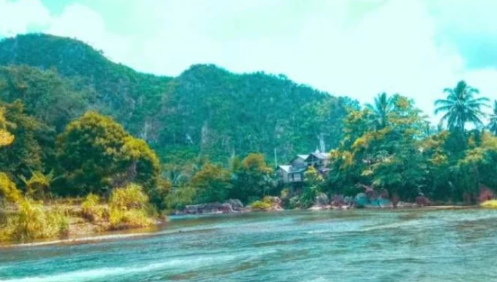 Nateh/(celebesborneo)