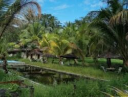 Banyu Panas Hantakan, Barabai, Kalimantan Selatan: Keajaiban Destinasi Relaksasi