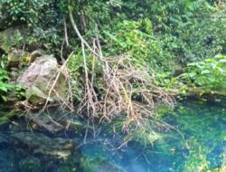 Wisata Situ Biru Cilembang di Sumedang, Jawa Barat: Keindahan Unik yang Memukau