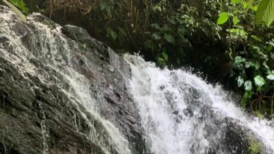 Curug Ciputrawangi: Oase Cantik di Kaki Gunung Tampomas, Sumedang, Jawa Barat