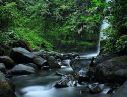 Curug Sawer Sukabumi: Eksotisme Air Terjun Indah di Situ Gunung