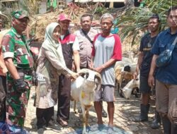 Petani Tembakau di Sumedang Diberi Modal Usaha Ternak Domba dan Budidaya Ikan