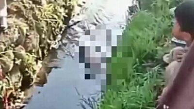 Temuan Jasad Bayi di Saluran Air Gemparkan Warga Ciwidey Bandung